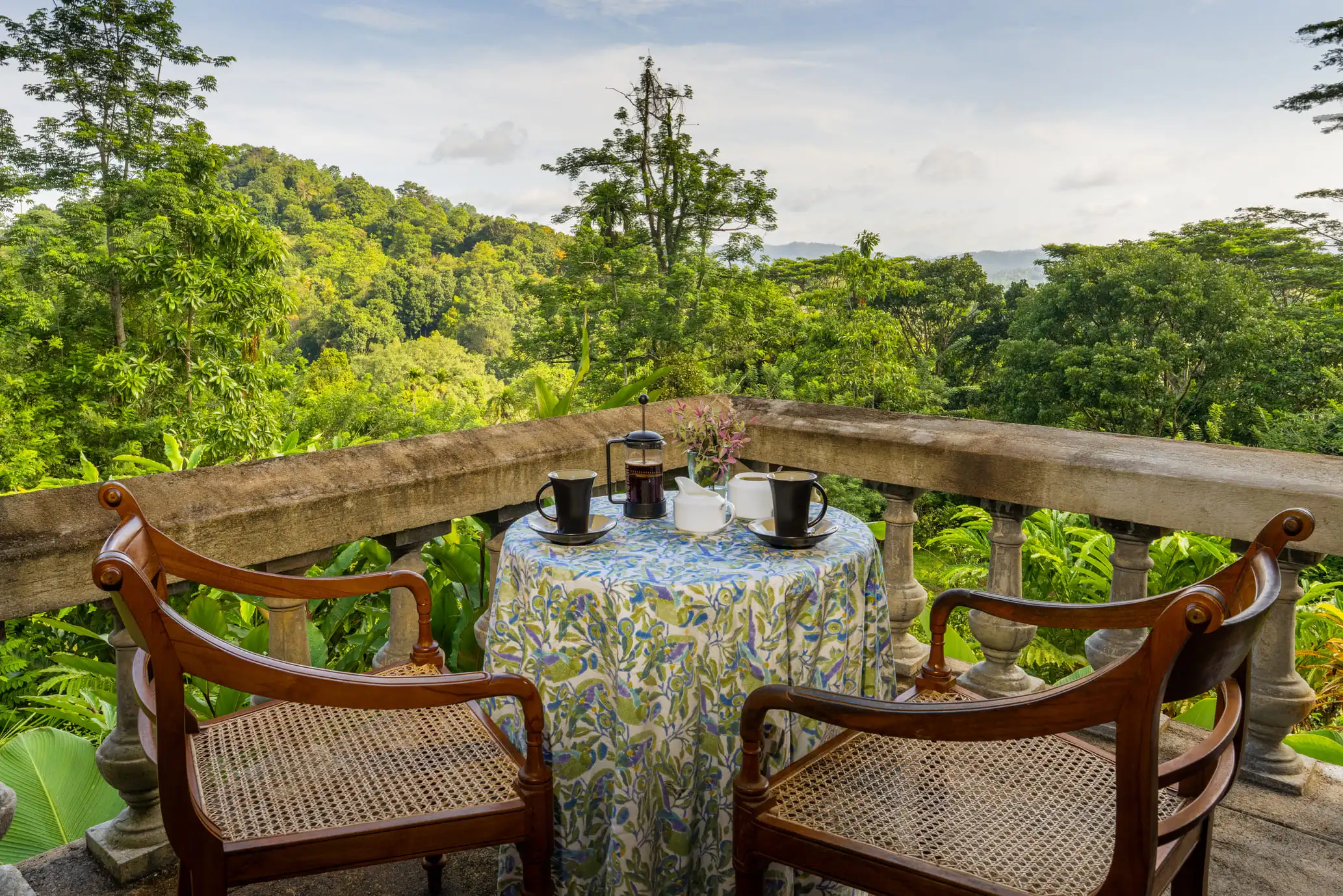 Emerging Kandyan forest garden