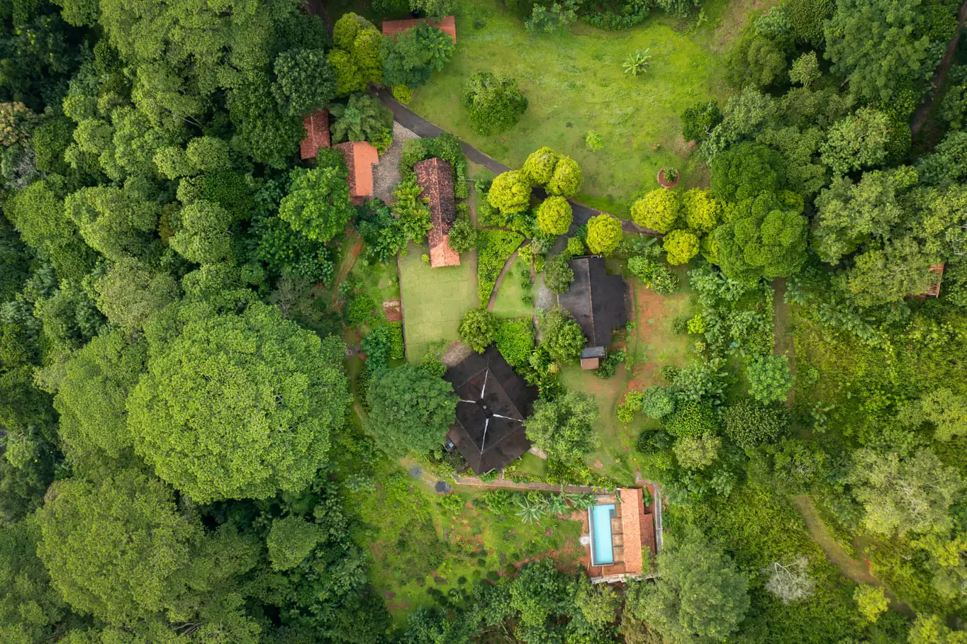 Antique doors and art collection